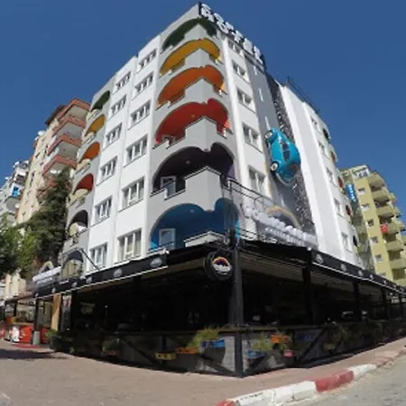 Beetle * Antalya