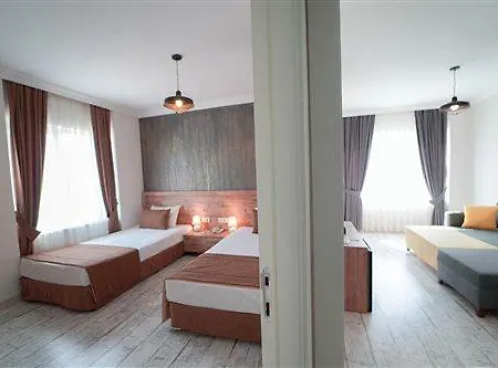 Hotel Beetle *
